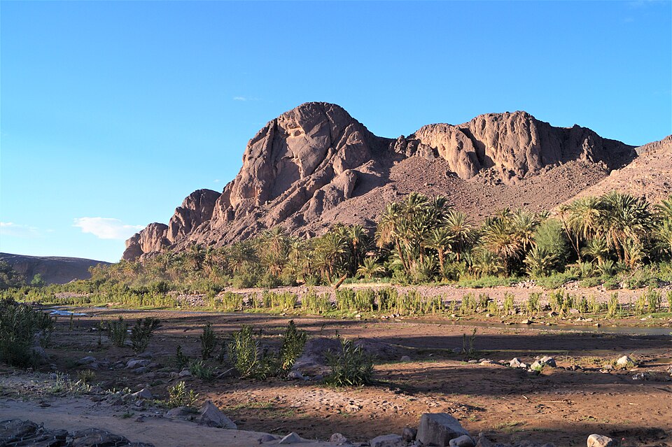 Oasis de Fint